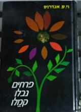 פרחים נבלו קמלו