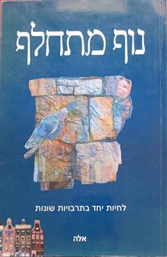 נוף מתחלף - דניאל וייבהוט