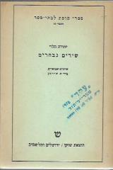 שירים נבחרים - יהודה הלוי