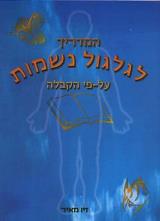 המדריך לגלגול נשמות - זיו מאיר