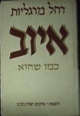 איוב - כמו שהוא - רחל מרגליות