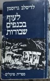 לעוף בכנפיים שבורות : סיפורים - לדיסלב גרוסמן