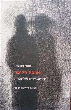 אהבה חלומה - נעמי פוגלמן