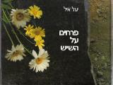 פרחים על השיש - יעל איל