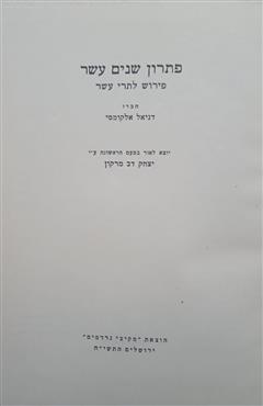 פתרון שנים עשר - דניאל אלקומסי