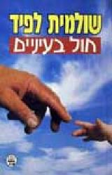 חול בעיניים - שולמית לפיד