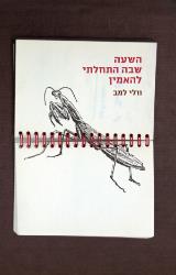 השעה שבה התחלתי להאמין - וולי למב