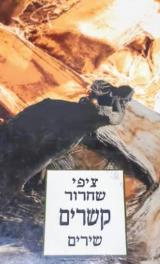 קשרים: שירים